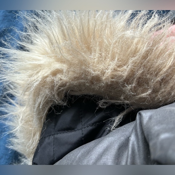 Juicy Couture Winter Jacket - Picture 5 of 7